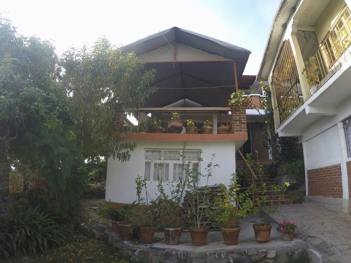 The exterior of a two-story building is shown, featuring a covered terrace with potted plants. Stone pathways lead to the entrance, while greenery surrounds the space, enhancing the natural ambiance of the home.
