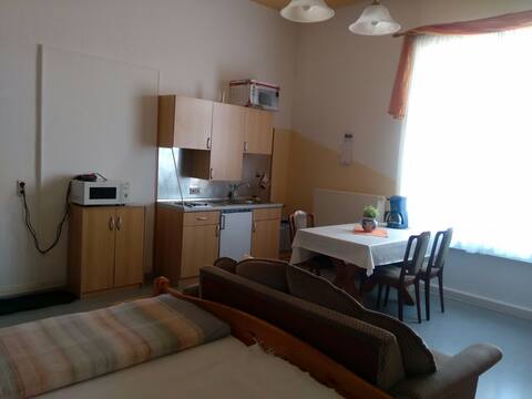 Large room with mini kitchen