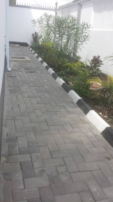 Plants area