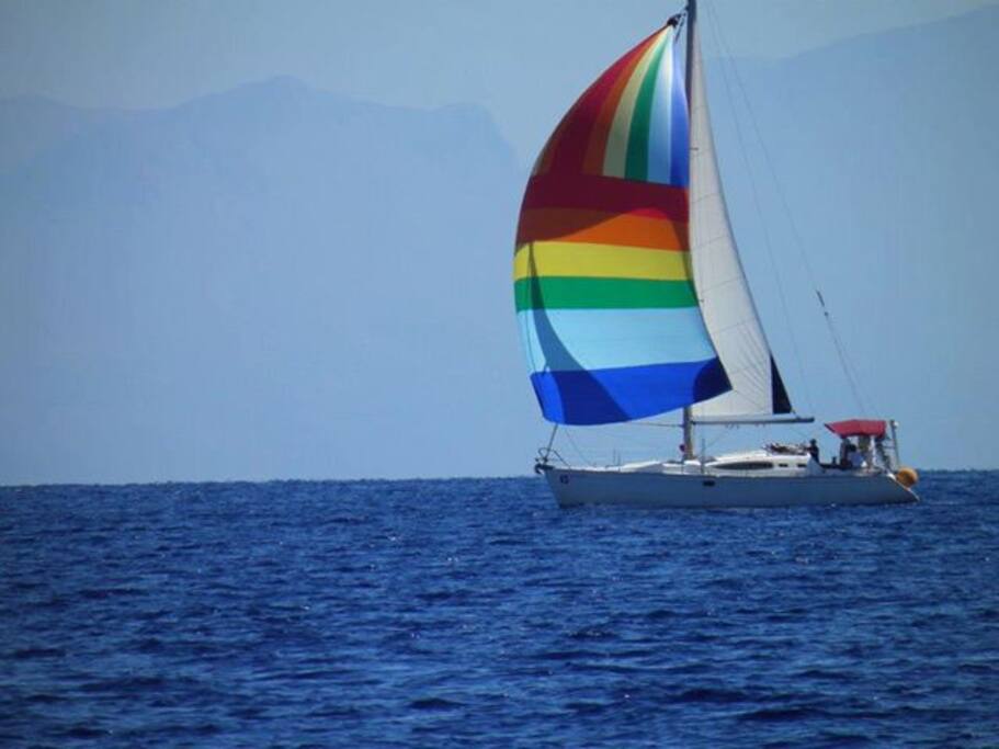 Sailings
