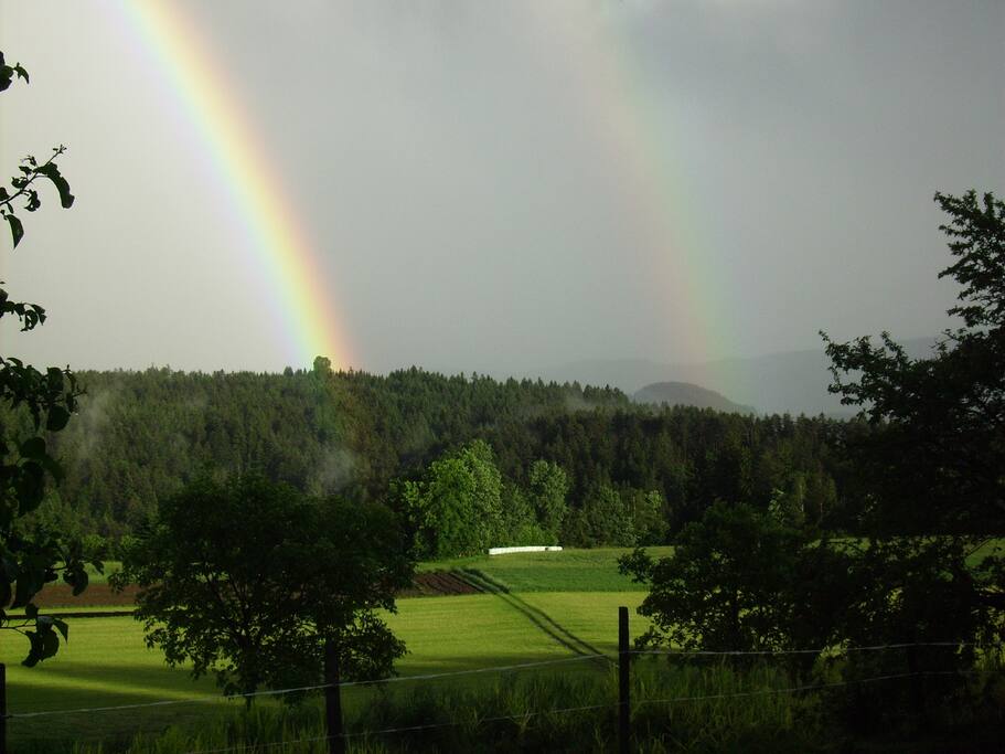 Nach dem Regen gegen Süden