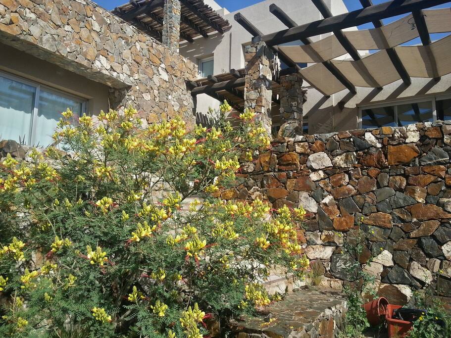 contrafrente casa