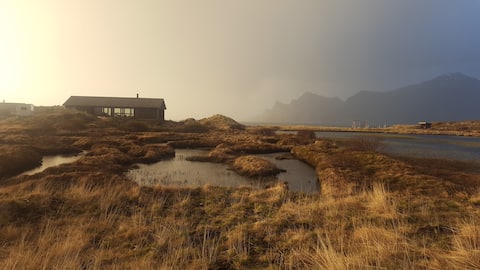 "Treat me nice" in Lofoten at Ramberg