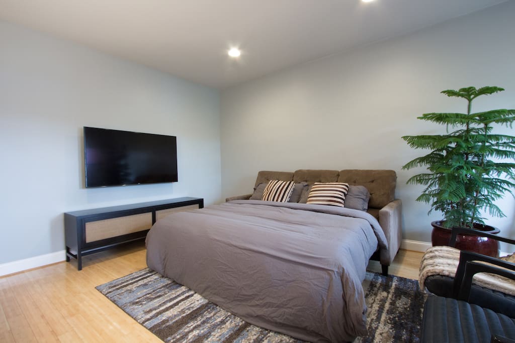 Kind Size pullout couch