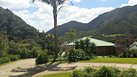 Extraordinary Forest Retreat