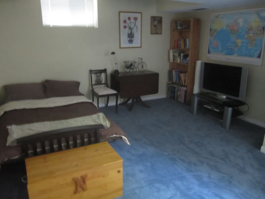 More photo's of basement room