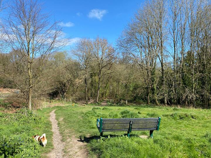 Top 10 Vacation Rentals In Berkshire, UK Updated 2024 Trip101