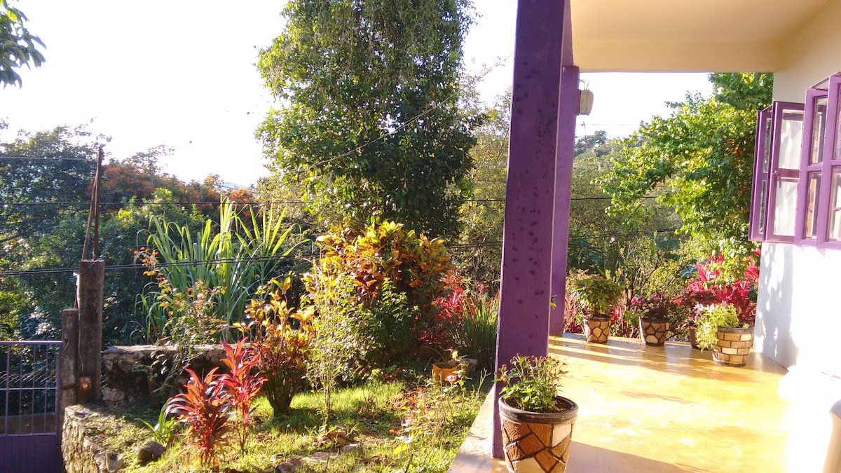 A vibrant outdoor area is framed by colorful plants and flowers, creating a lush garden setting. Sunlight filters through, highlighting the purple columns and the smooth flooring. Potted plants are positioned throughout, adding to the serene ambiance of the space.
