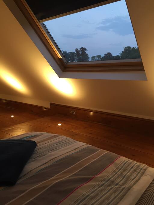 Plenty of windows with views