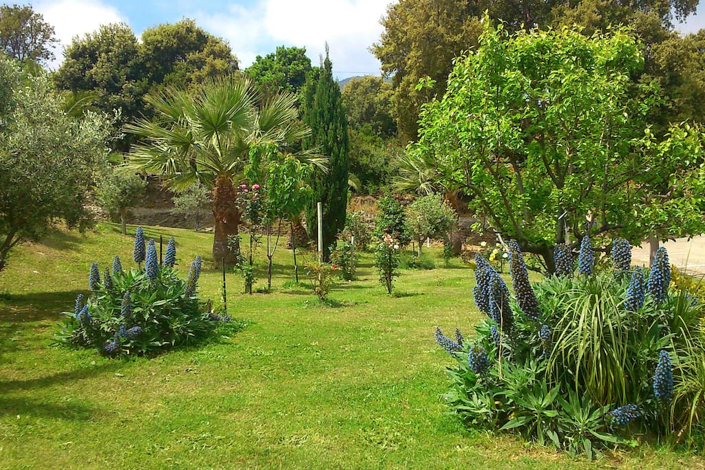 Jardin