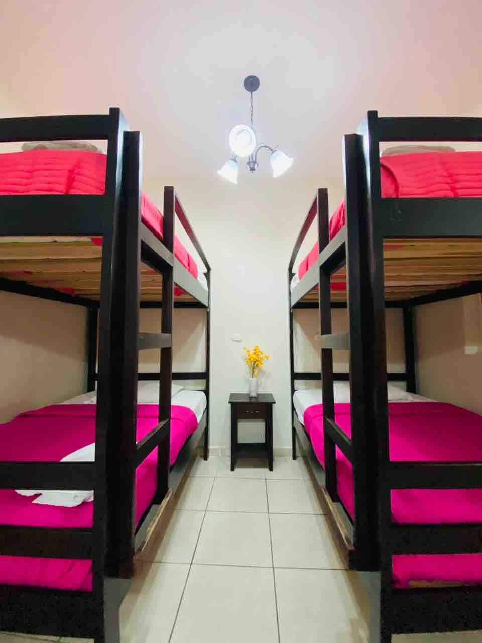 两张双层床，双层床 