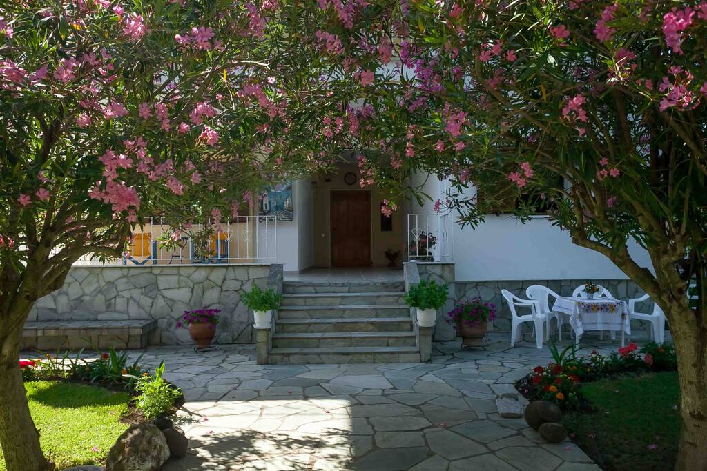 Joy's Beautiful House
