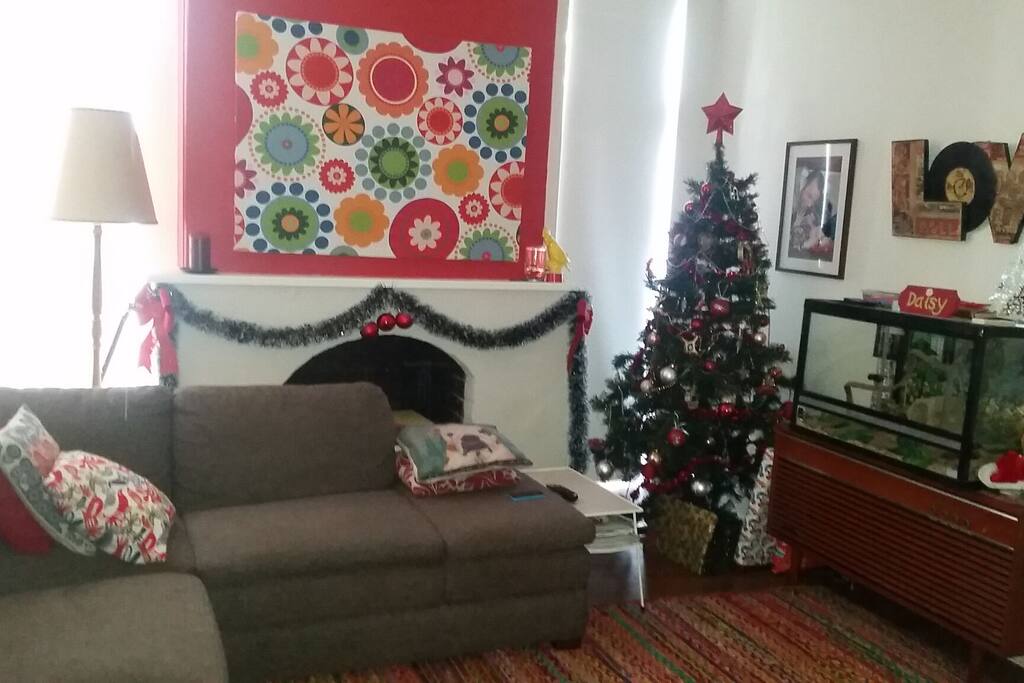 Lounge room set up for Christmas. Note Daisy our snake's enclosure. She can be relocated if you prefer to miss out on her company during your stay.
