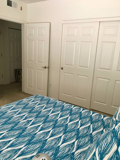Bedroom entrance door and closet