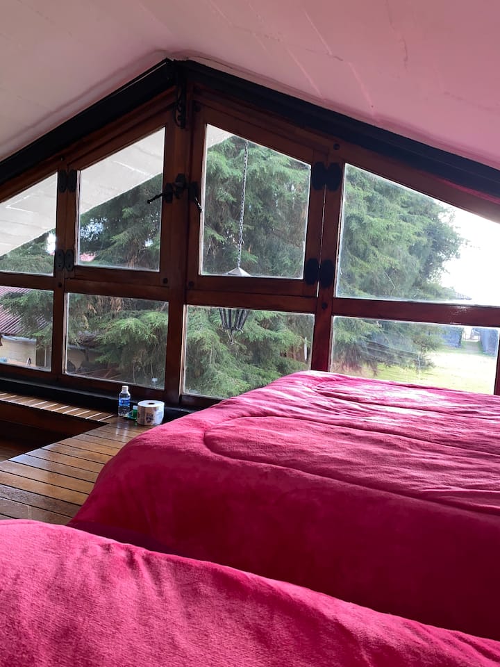 Habitación 3