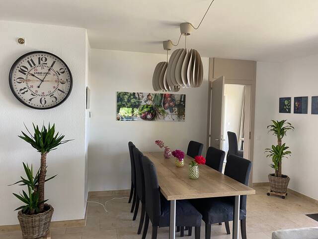 Villa 160m2 et vue paradisiaque sur le lac léman gallery image 4