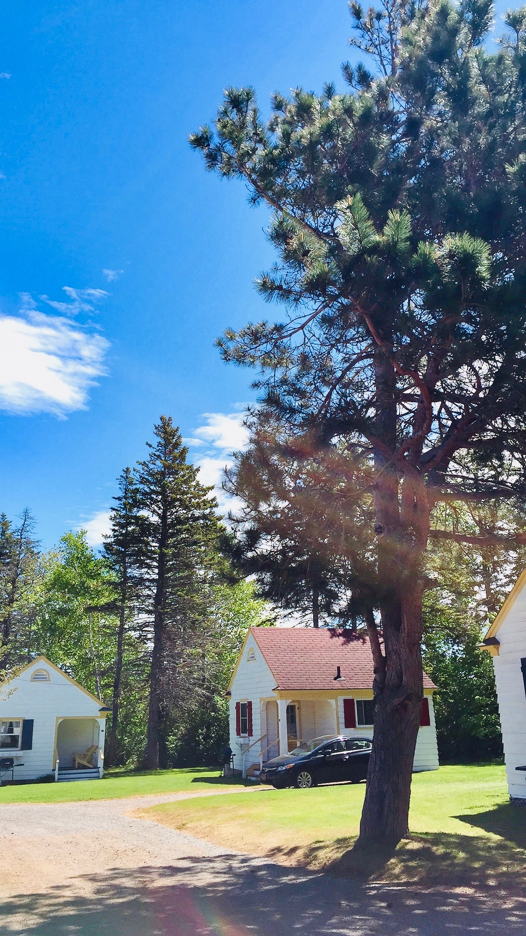 Two charming white bungalow cottages are seen under a clear blue sky. A green lawn surrounds the structures, which feature red-roofed tops. A tall pine tree adds a natural element to the scene, while a parked car is visible beside one of the cottages.