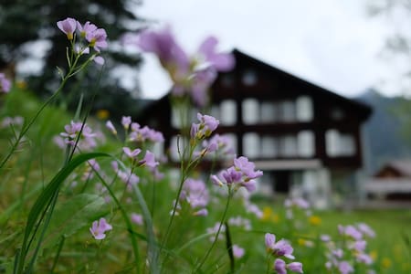 Perfekte Ferien in den Schweizer Bergen - Relax!