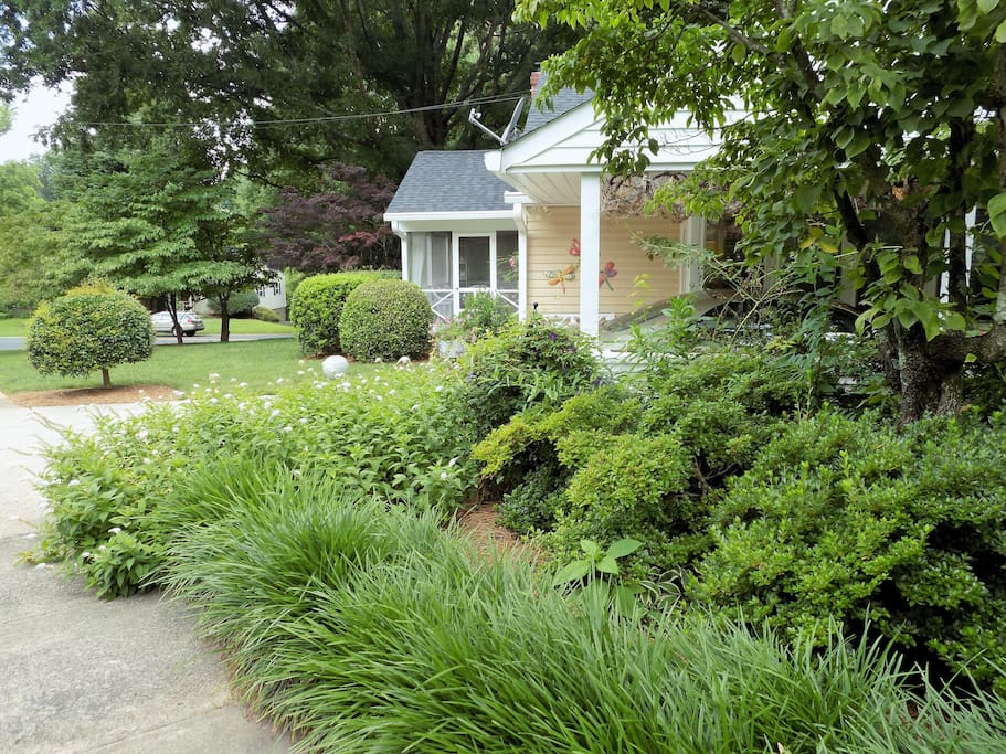 Sidewalk View