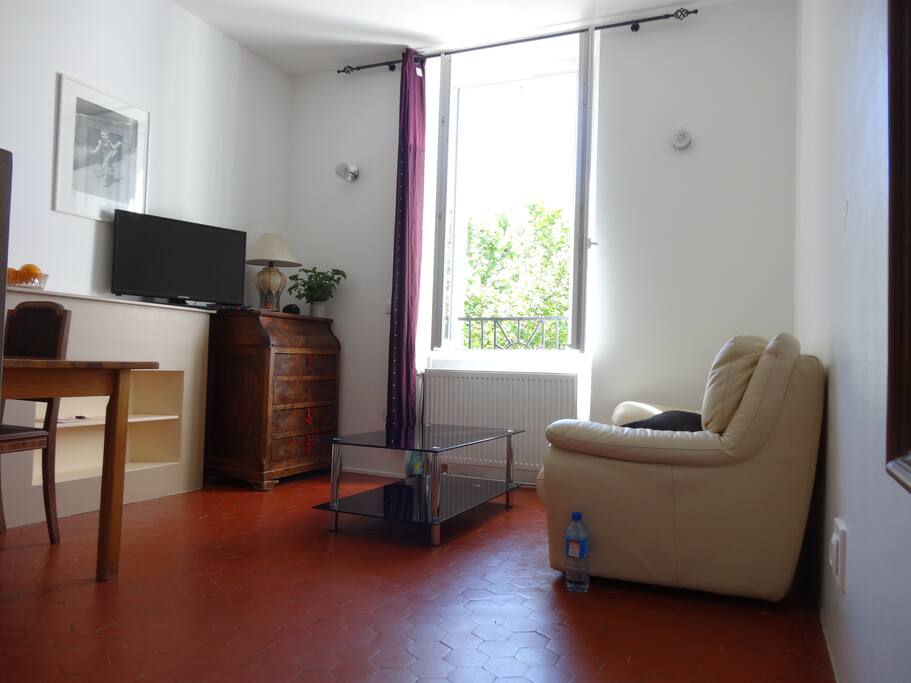 Salon avec vue jardin
