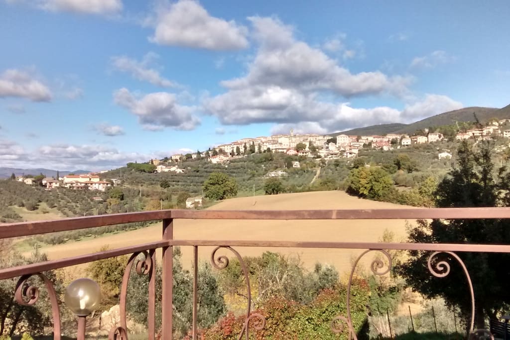 Panorama