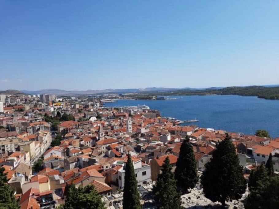 Pogled