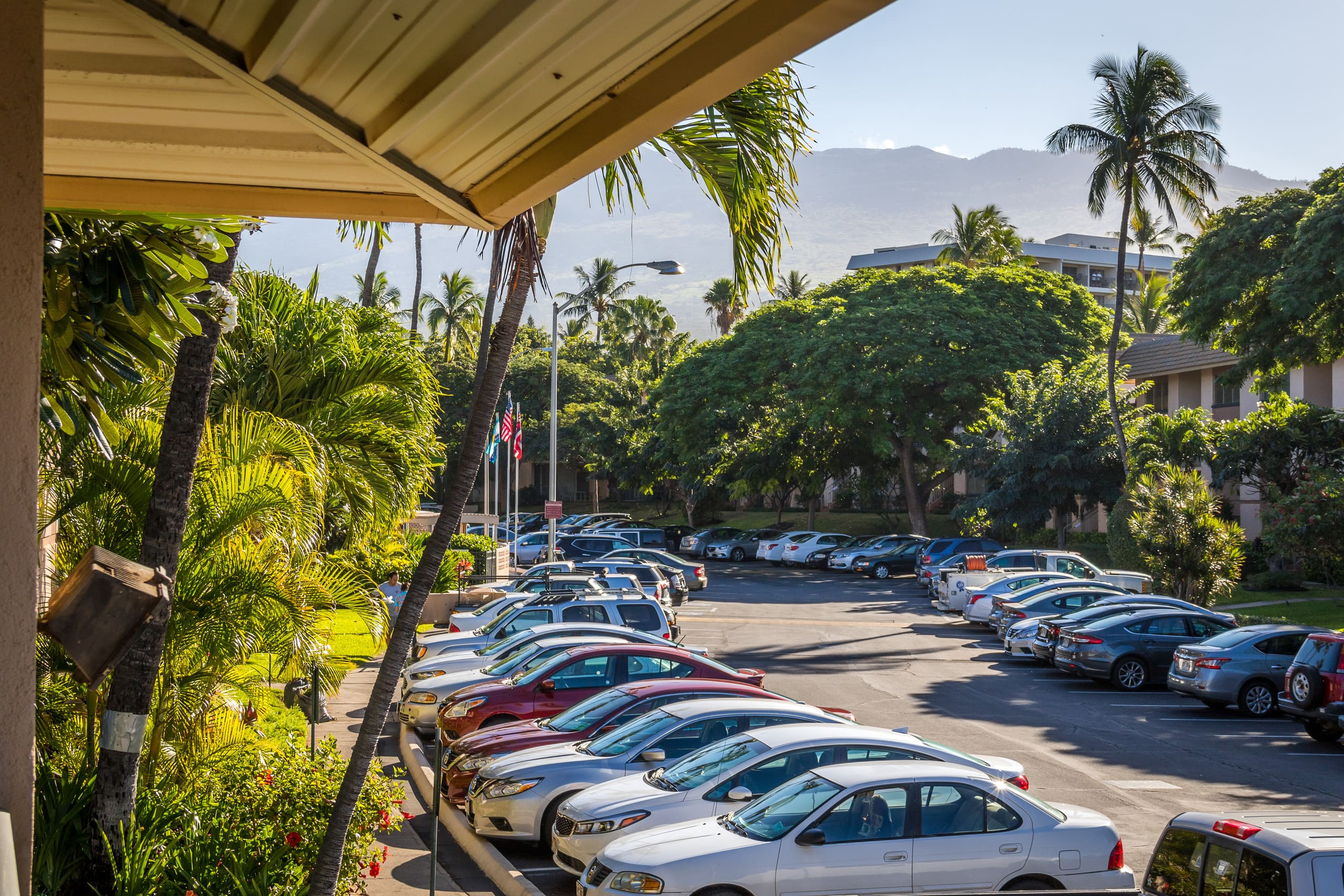 Condo in Kihei · ★4.9 · 1 bedroom · 1 bed · 1 bath - Image 31