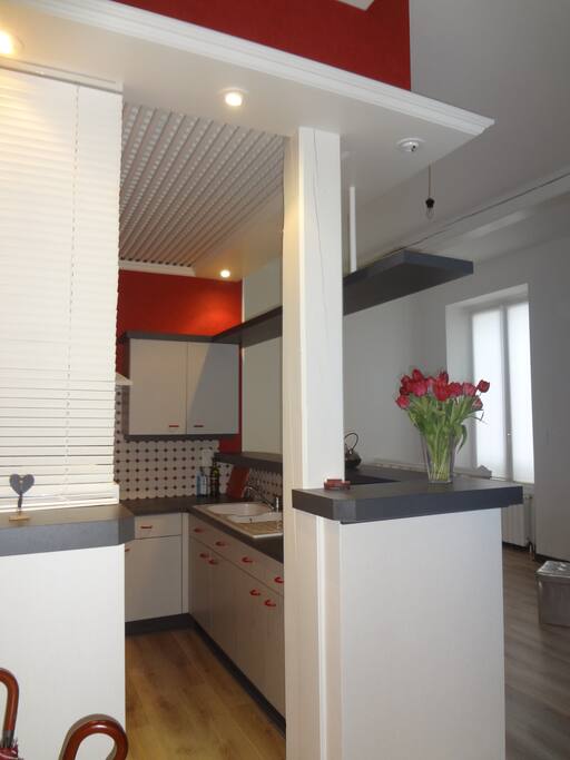 Cuisine ouverte sur salon