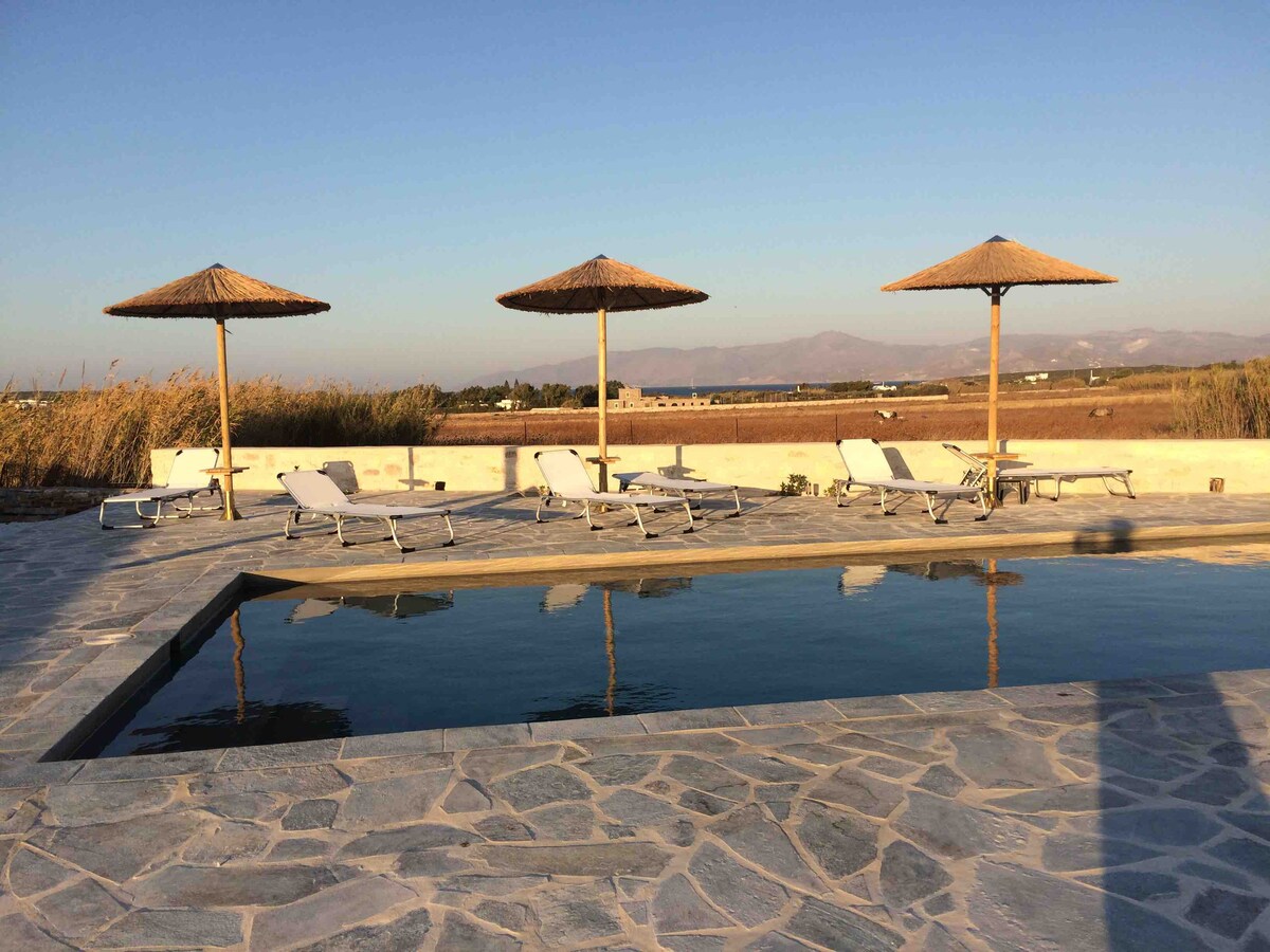 A tranquil outdoor area features a swimming pool with clear water, surrounded by a stone patio. Four straw umbrellas provide shade over lounge chairs. The background reveals a serene landscape with distant mountains and open fields, enhancing the relaxed ambiance.