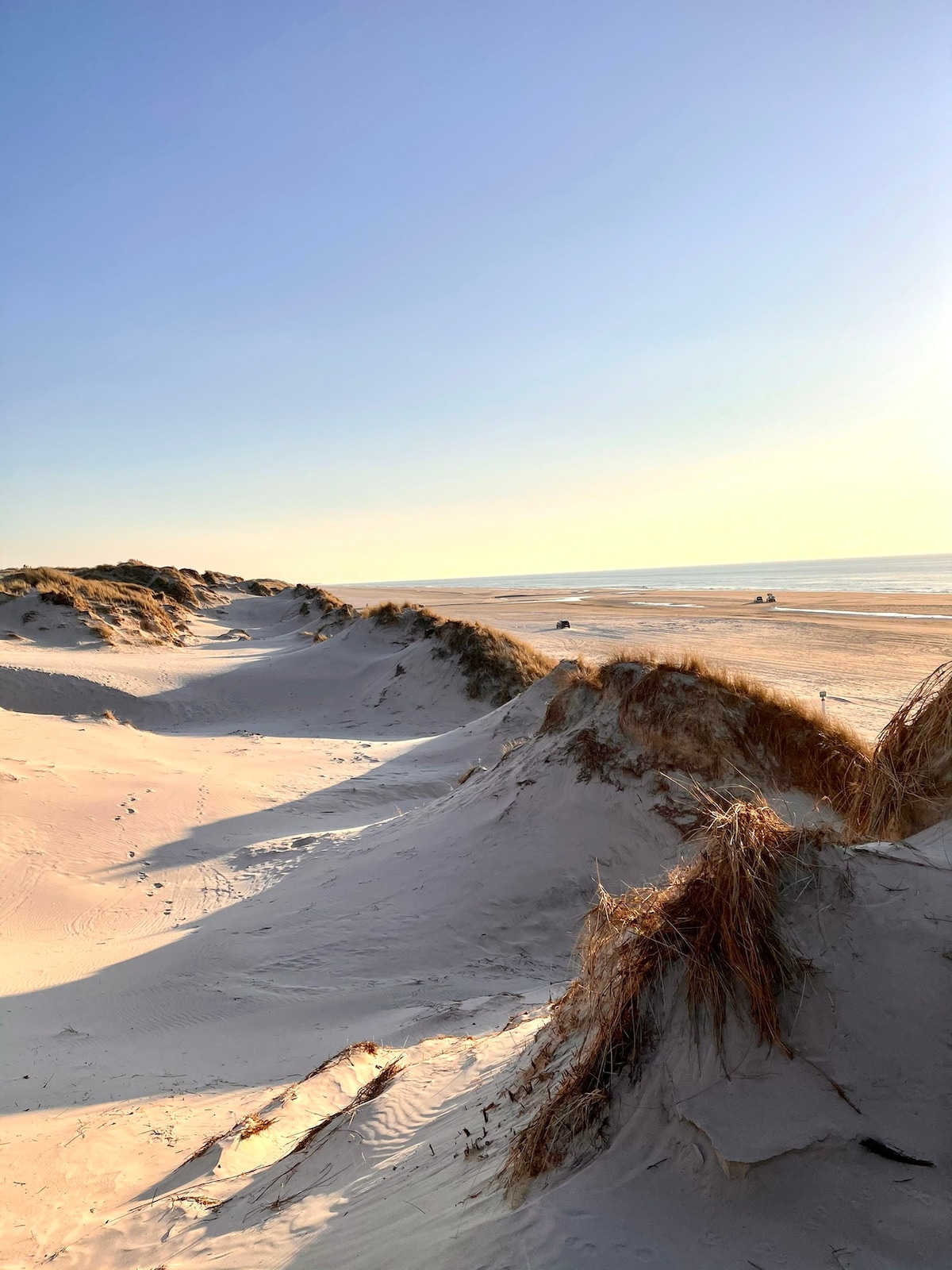 Expansive sand dunes gently slope down towards a sandy beach, with the ocean visible in the distance. Natural grasses cling to the dunes, catching the sunlight. The scene conveys a sense of openness and tranquility, enhanced by the clear blue sky.
