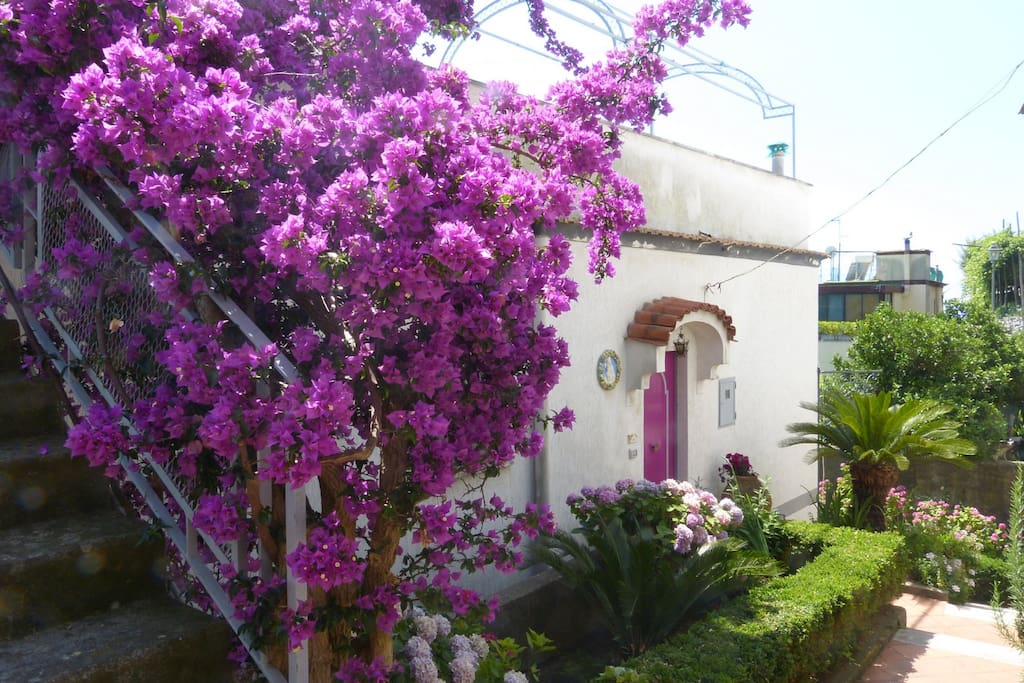 Villa Ravello Grecamore main entrance