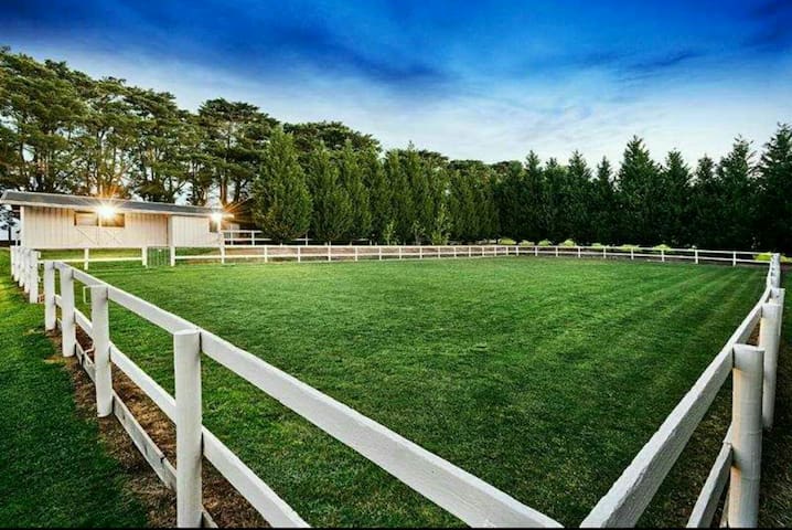 410 Kangaroo ground 15 , 20 people restaurant gallery image 4