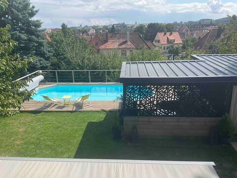 In Alsace, home with pool, jacuzzi and sauna