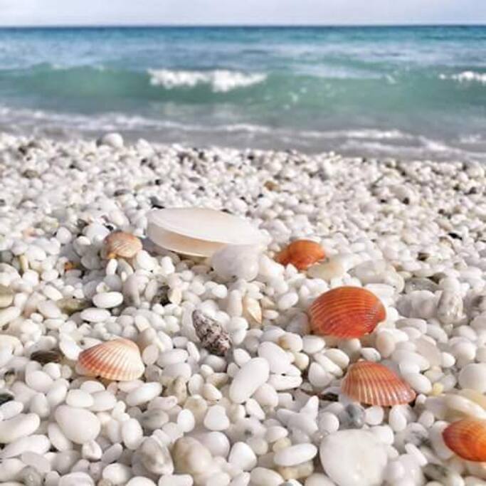 spiaggia "Le saline"