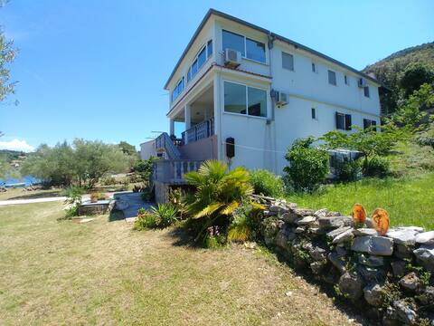 Top performing Airbnb: A4 Apartment Rino Bubica in Rava