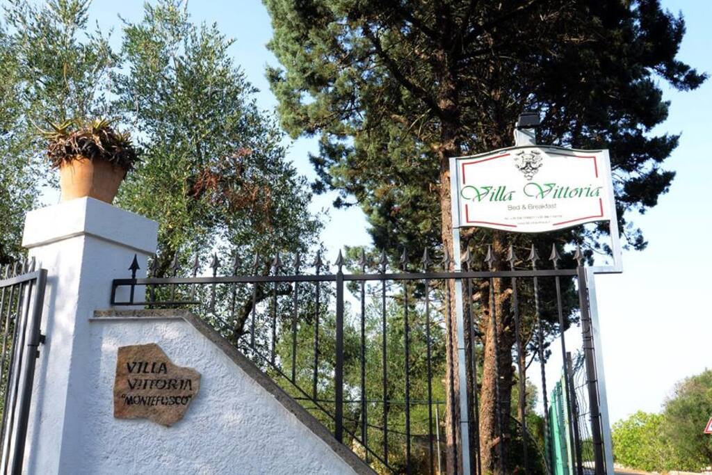 Ingresso
