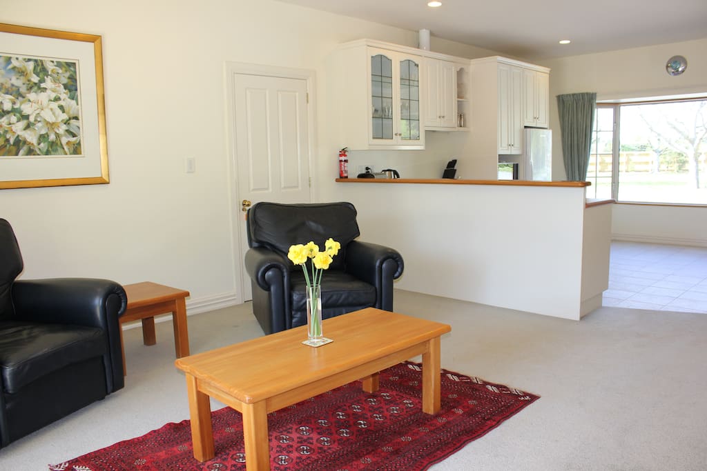 Living room and kitchen