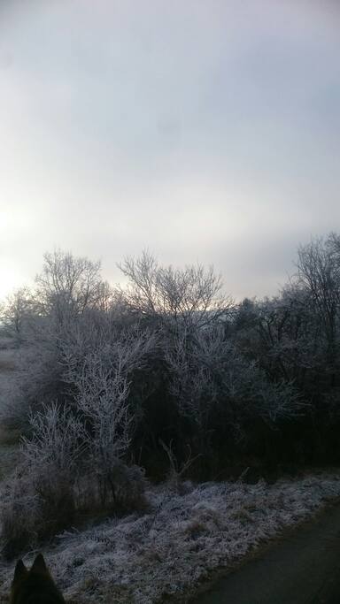 Winteraussicht von der Terrasse