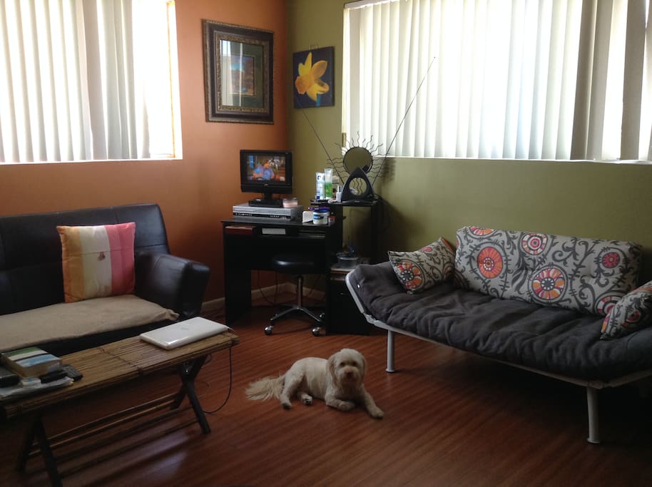Living Room without Pup:)