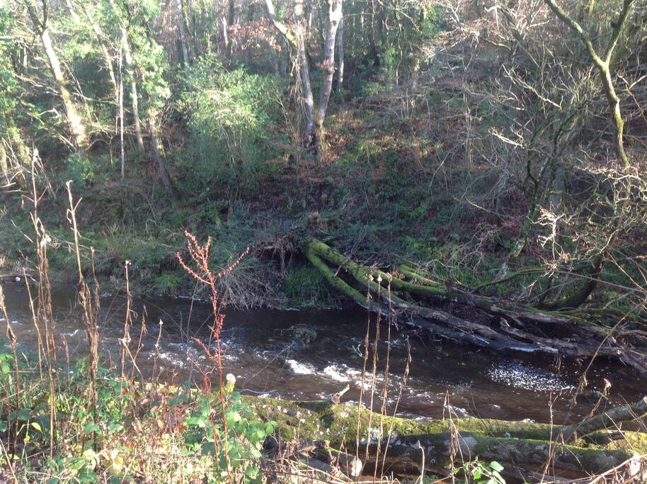 River Teign