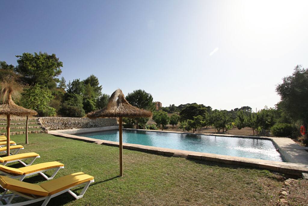 Holiday Home Swimming Pool