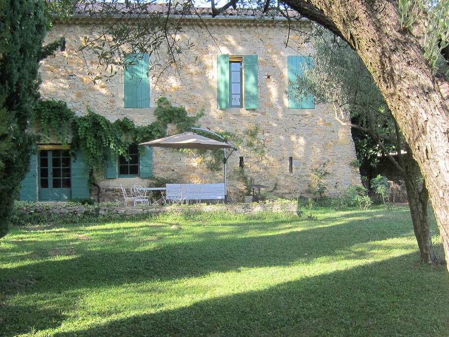 Back terrace.