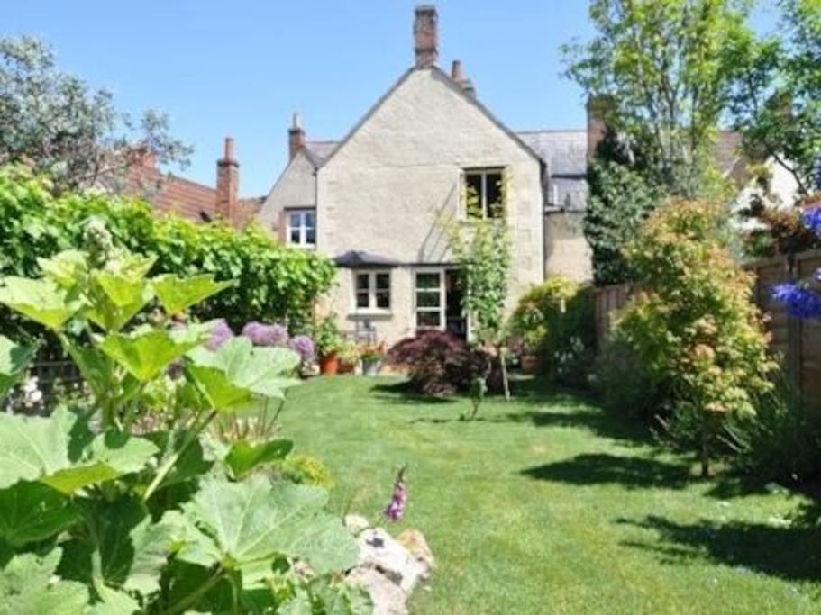 Back garden