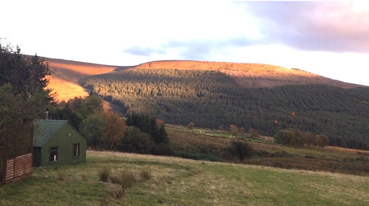 Enclosure in Ballyfolan