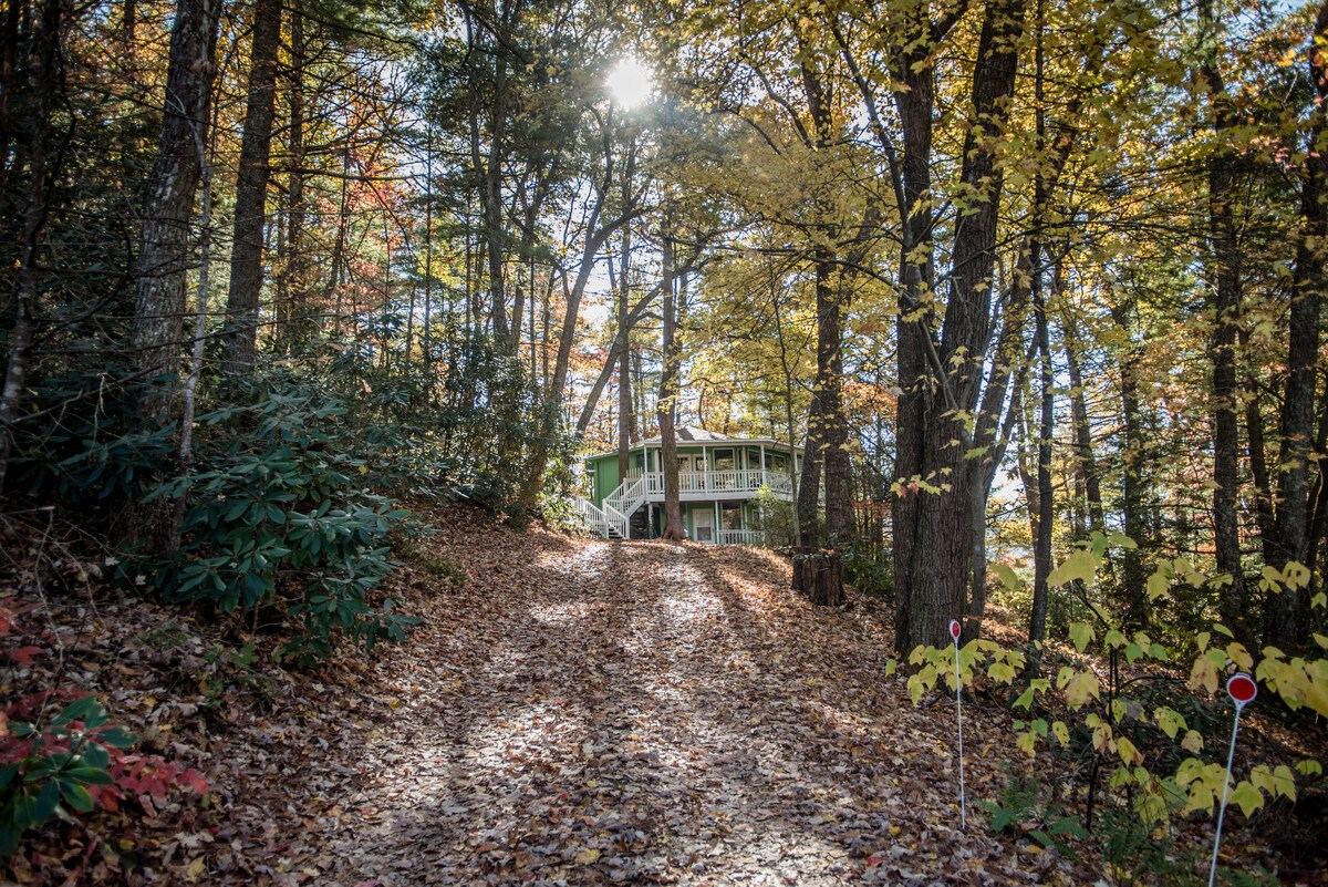A winding gravel path leads through a forest of autumn foliage to a two-story green home, partially visible among the trees. Sunlight filters through the branches, creating dappled patterns on the ground covered with fallen leaves.