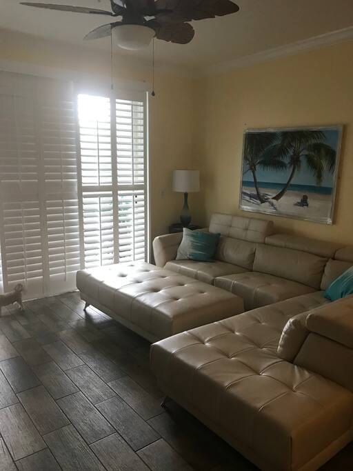 Living room. Couch could be used as a bed if needed.