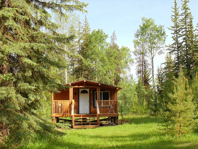 Seawood B&B and Cabins - Moose Rest Cabin