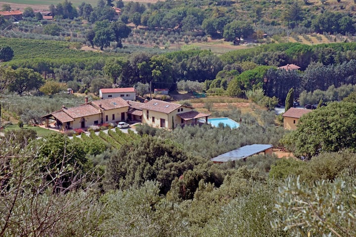 Le Sedici Wine Apartment, Massa Marittima - Massa Marittima