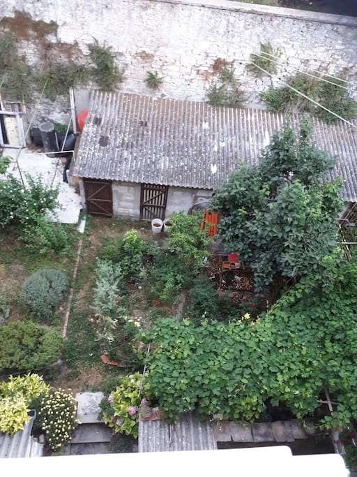 Surroundings