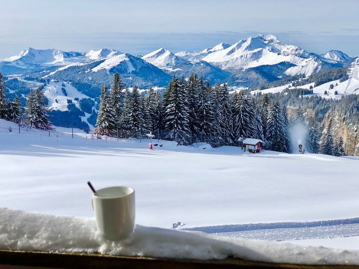 Top Airbnb: Pleasant studio with a breathtaking view, 23 m2. in Morzine